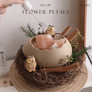 photo of Fragrant Stone Diffuser