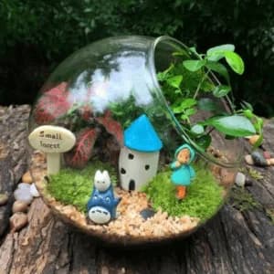 photo of Miniature Glass Garden Terrarium